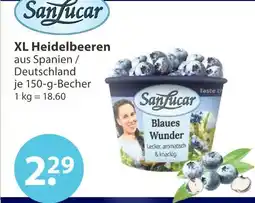 V Markt Sanlucar xl heidelbeeren Angebot