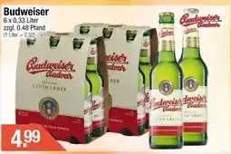 Getränke City Budweiser Angebot