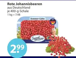 V Markt Sanlucar rote johannisbeeren Angebot