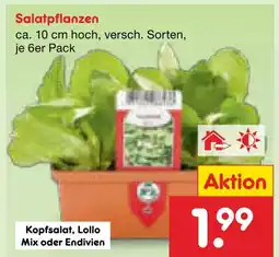 Netto Marken-Discount Kopfsalat Angebot