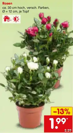 Netto Marken-Discount Rosen Angebot