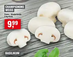 EDEKA Foodservice CHAMPIGNONS WEISS Angebot