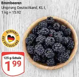 Globus Brombeeren Angebot