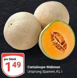Globus Cantaloupe-Melonen Angebot
