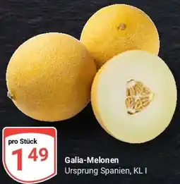 Globus Galia-Melonen Angebot