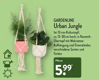 Aldi Nord Gardenline Urban Jungle Angebot