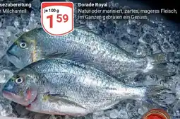 Globus Dorade Royal Angebot