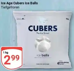 Globus Ice Age Cubers Ice Balls Angebot
