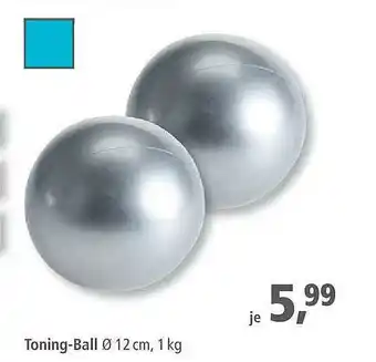 Pfennigpfeiffer Toning-ball Angebot