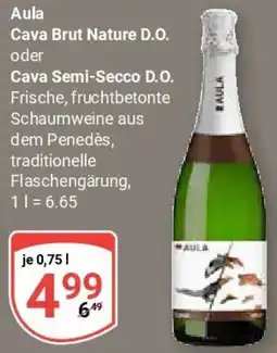 Globus Aula Cava Brut Nature D.O. oder Cava Semi-Secco D.O. Angebot