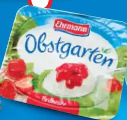 Netto Marken-Discount Ehrmann Obstgarten Angebot