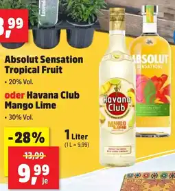 Thomas Philipps Absolut Sensation Tropical Fruit o. Havana Club Mango Lime Angebot