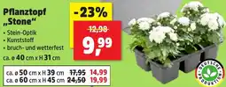 Thomas Philipps Pflanztopf "Stone" Angebot