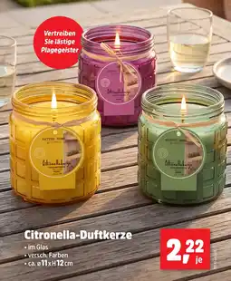 Thomas Philipps Citronella-Duftkerze Angebot