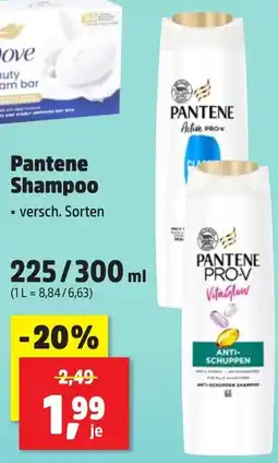 Thomas Philipps Pantene Shampoo Angebot
