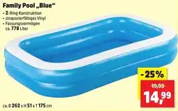 Thomas Philipps Family Pool "Blue" Angebot