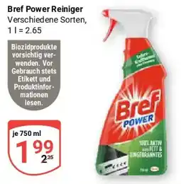 Globus Bref Power Reiniger Angebot