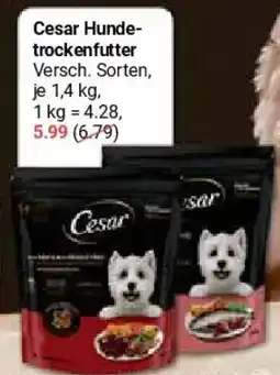 Globus Cesar Hunde- trockenfutter Angebot