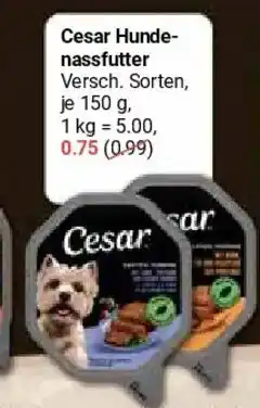 Globus Cesar Hundenassfutter Angebot