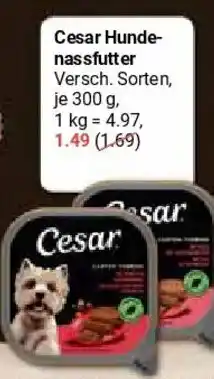 Globus Cesar Hundenassfutter Angebot