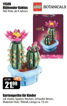 V Baumarkt LEGO BOTANICALS Blühender Kaktus Angebot