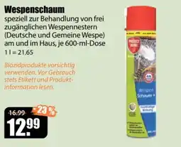 V Baumarkt Protect Home Wespen Schaum+ Angebot