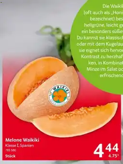 Selgros Melone Waikiki Angebot