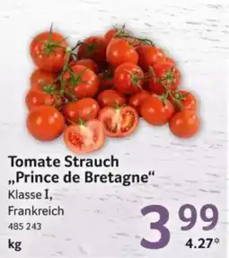 Selgros Tomate Strauch "Prince de Bretagne" Angebot