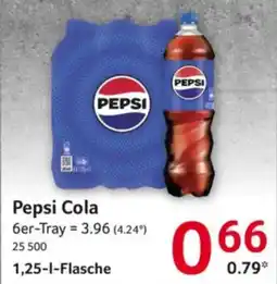 Selgros Pepsi Cola Angebot