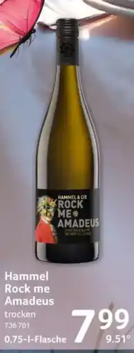 Selgros Hammel Rock me Amadeus Angebot