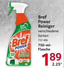 Selgros Bref Power Reiniger Angebot