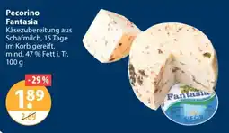 V Markt Pecorino Fantasia Angebot