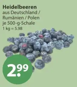 V Markt Heidelbeeren Angebot