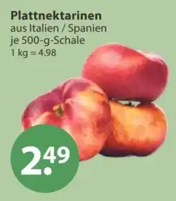 V Markt Plattnektarinen Angebot