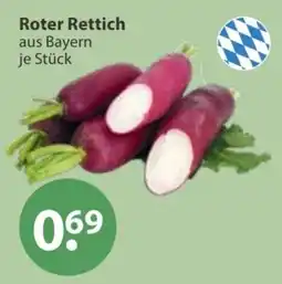 V Markt Roter Rettich aus Bayern Angebot