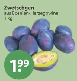 V Markt Zwetschgen aus Bosnien-Herzegowina Angebot
