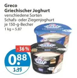 V Markt Greco Griechischer Joghurt Angebot