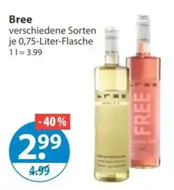 V Markt Bree Angebot