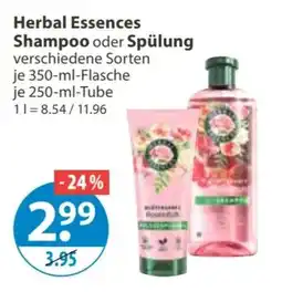V Markt Herbal Essences Shampoo oder Spülung Angebot