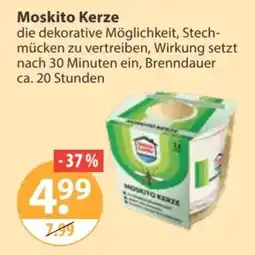 V Markt Moskito Kerze Angebot