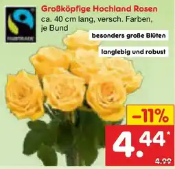 Netto Marken-Discount Großköpfige Hochland Rosen Angebot