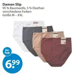 V Markt Damen Slip Angebot