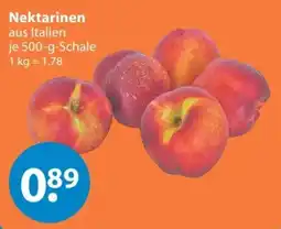 V Markt Nektarinen Angebot