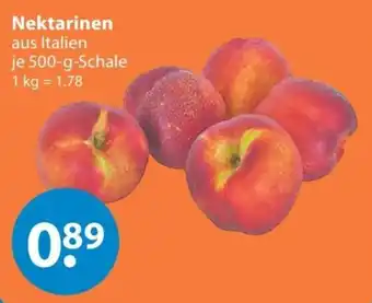 V Markt Nektarinen Angebot