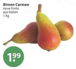 V Markt Birnen Carmen Angebot