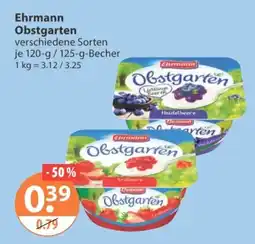 V Markt Ehrmann Obstgarten Angebot