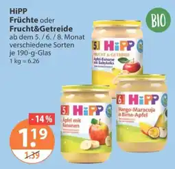 V Markt HiPP Früchte oder Frucht&Getreide Angebot