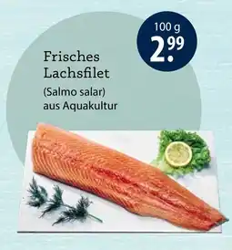 V Markt Frisches Lachsfilet (Salmo salar) aus Aquakultur Angebot