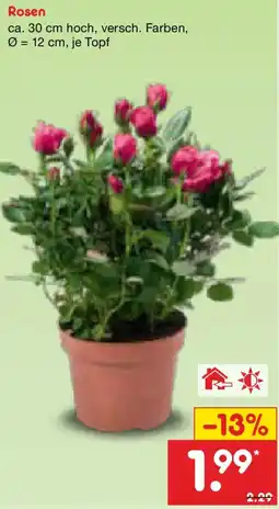Netto Marken-Discount Rosen Angebot