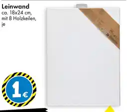 TEDi Leinwand Angebot